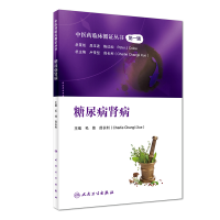 全新正版糖尿病肾病/医临床循丛9787117281188人民卫生
