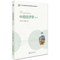 全新正版中观经济学(第二版)9787301306857北京大学