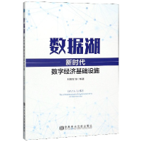 全新正版数据湖(新时代数字经济基础设施)9787503566745中央校