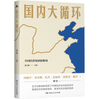 全新正版国内大循环(中国经济发展新格局)9787556125395湖南人民