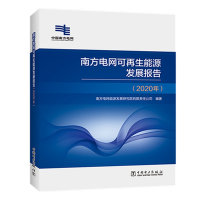 全新正版南方电网可能源发展报告(2020年)9787519851842中国电力