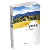 全新正版宁夏景象9787517118848中国言实
