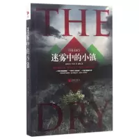 全新正版迷雾中的小镇9787559603487北京联合