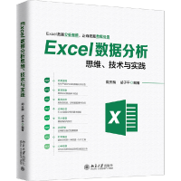 全新正版Excel数据分析思维技术与实践9787301300503北京大学