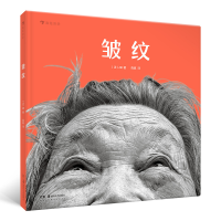 全新正版皱纹(精)9787535691668湖南美术