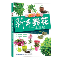 全新正版新手养花一本就够9787533549305福建科技
