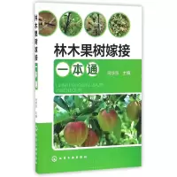 全新正版林木果树嫁接一本通9787122272164化学工业
