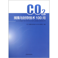 全新正版CO2捕集与封存技术100问9787511128744中国环境