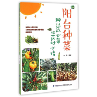 全新正版阳台种菜(种出放心菜收获好心情)9787533546779福建科技