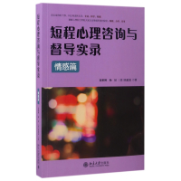 全新正版短程心理咨询与督导实录(情感篇)9787301282250北京大学