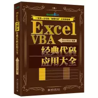 全新正版ExcelVBA经典代码应用大全9787301300954北京大学