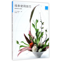全新正版线条使用技巧(视觉焦点线9787554216491中原农民