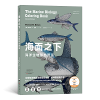 全新正版海面之下:海洋生物形态图鉴9787571106140大象出版社