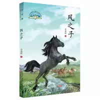 全新正版风之子9787531583400辽宁少年儿童出版社