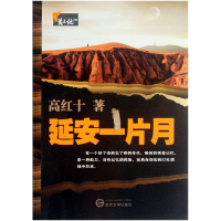 全新正版延安一片月/黄土地之歌9787307092武汉大学出版社