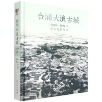 全新正版合浦大浪古城2019-2021年考古发掘报告9787501077663文物