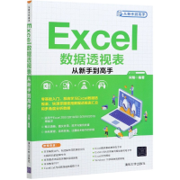 全新正版Excel数据透视表从新手高9787302576174清华大学出版社