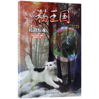 全新正版猫王国(暗黑王国2歧路惊魂)978712189化学工业出版社