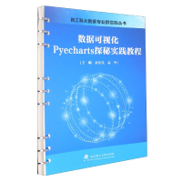 全新正版数据可视化Pyecharts探秘实践教程9787562965015武汉理工