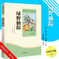 全新正版绿野仙踪9787227072058宁夏人民