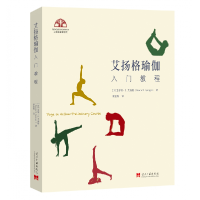 全新正版艾扬格瑜伽入门教程9787515410906当代中国出版社