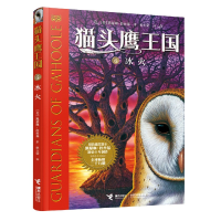 全新正版王国(6冰火)9787544870320接力出版社