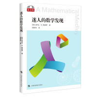 全新正版迷人的数学发现9787542878595上海科技教育出版社