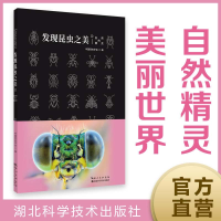 全新正版发现昆虫之美②9787570615391湖北科学技术出版社