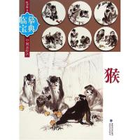 全新正版猴/临摹宝典中国画技法9787539332116福建美术出版社