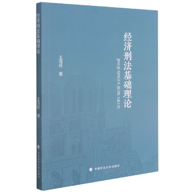 全新正版经济刑法基础理论9787562099901中国政法出版社