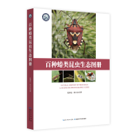 全新正版百种蝽类昆虫生态图册9787570620180湖北科学技术出版社