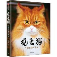 全新正版观复猫(今朝有猫万事足)9787521711097中信出版社