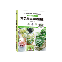 全新正版常见多肉植物图鉴97875047712中国财富出版社