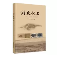 全新正版湖北化石9787570608607湖北科学技术出版社