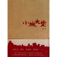 全新正版小城大爱9787561536872厦门大学出版社