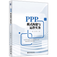 全新正版PPP模式构建与运作实务9787301300756北京大学