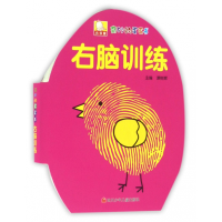 全新正版右脑训练/奇妙的蛋蛋书9787536567405四川少儿