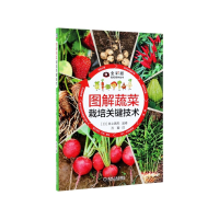 全新正版图解蔬菜栽培关键技术(全彩版)9787111619895机械工业