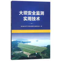 全新正版大坝安全监测实用技术9787307199545武汉大学