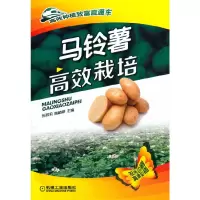 全新正版马铃薯高效栽培97871115415机械工业