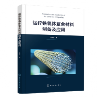 全新正版锰锌铁氧体复合材料制备及应用9787122405920化学工业