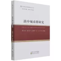 全新正版滇中城市群研究9787521827033经济科学