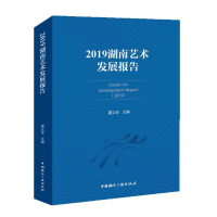 全新正版2019湖南艺术发展报告9787507852615中国国际广播