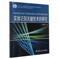 全新正版实体识别关键技术的研究9787576709254哈尔滨工业大学