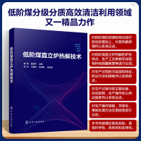 全新正版低阶煤直立炉热解技术9787122435019化学工业