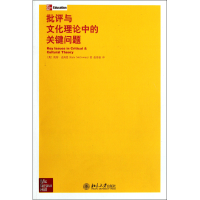 全新正版批评与文化理论中的关键问题9787301201114北京大学