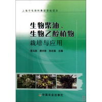 全新正版生物柴油生物乙醇植物栽培与应用9787109145146中国农业