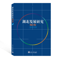 全新正版湖北发展研究报告(2019)9787307211278武汉大学