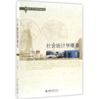 全新正版社会统计学概要(新编社会学系列教材)9787301277北京大学