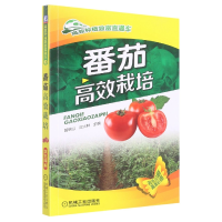 全新正版番茄高效栽培/高效种植致富直通车9787111492641机械工业